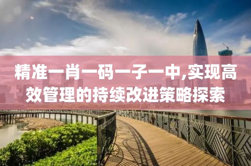 精准一肖一码一子一中,实现高效管理的持续改进策略探索