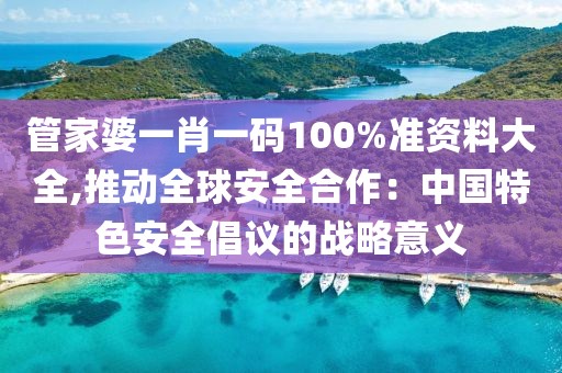 管家婆一肖一码100%准资料大全,推动全球安全合作：中国特色安全倡议的战略意义