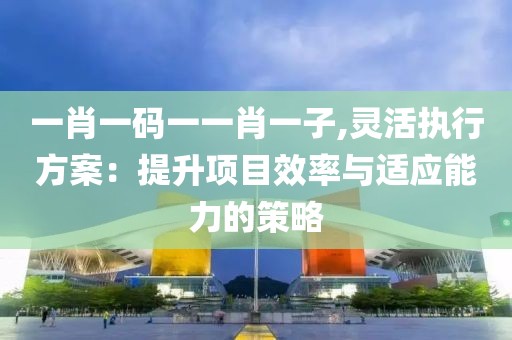 一肖一码一一肖一子,灵活执行方案：提升项目效率与适应能力的策略