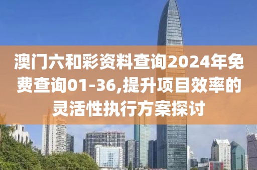 澳门六和彩资料查询2024年免费查询01-36,提升项目效率的灵活性执行方案探讨