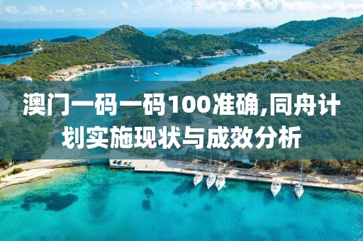 澳门一码一码100准确,同舟计划实施现状与成效分析