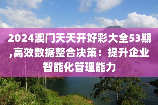 2024澳门天天开好彩大全53期,高效数据整合决策：提升企业智能化管理能力