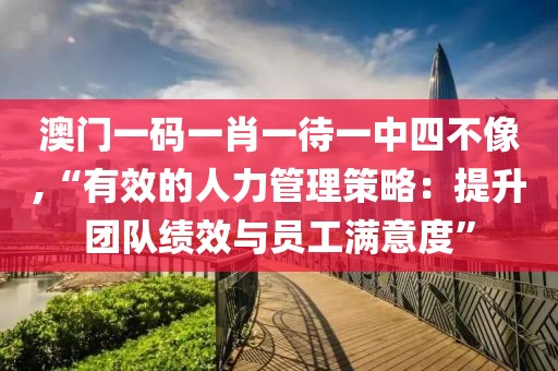 澳门一码一肖一待一中四不像,“有效的人力管理策略：提升团队绩效与员工满意度”