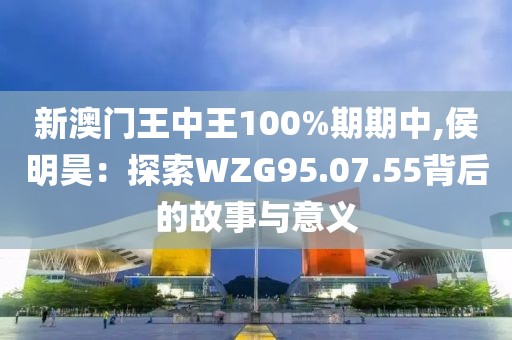 新澳门王中王100%期期中,侯明昊：探索WZG95.07.55背后的故事与意义