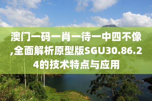 澳门一码一肖一待一中四不像,全面解析原型版SGU30.86.24的技术特点与应用