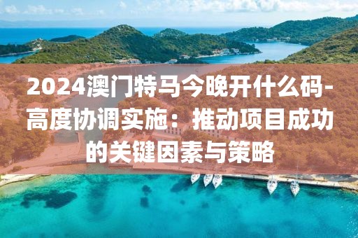 2024澳门特马今晚开什么码-高度协调实施：推动项目成功的关键因素与策略