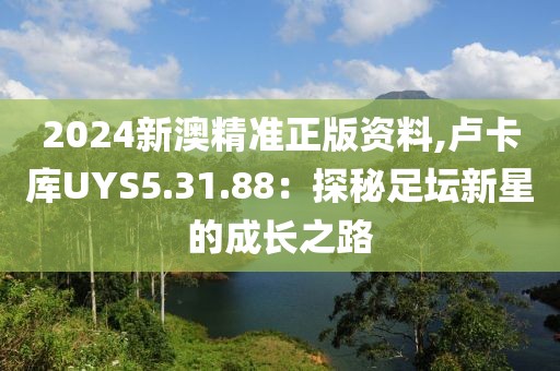 2024新澳精准正版资料,卢卡库UYS5.31.88：探秘足坛新星的成长之路