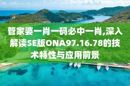 管家婆一肖一码必中一肖,深入解读SE版ONA97.16.78的技术特性与应用前景
