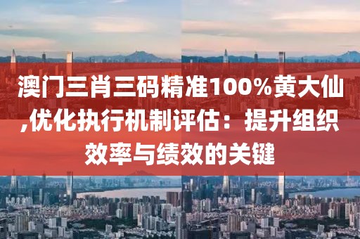 澳门三肖三码精准100%黄大仙,优化执行机制评估：提升组织效率与绩效的关键