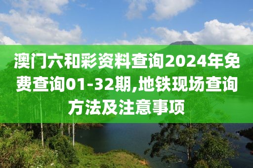 澳门六和彩资料查询2024年免费查询01-32期,地铁现场查询方法及注意事项