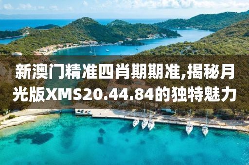 新澳门精准四肖期期准,揭秘月光版XMS20.44.84的独特魅力