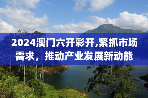 2024澳门六开彩开,紧抓市场需求，推动产业发展新动能