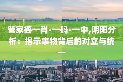 管家婆一肖-一码-一中,阴阳分析：揭示事物背后的对立与统一