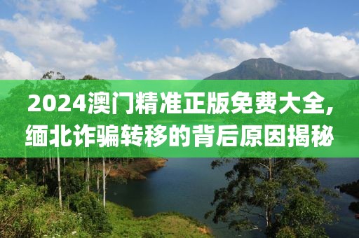 2024澳门精准正版免费大全,缅北诈骗转移的背后原因揭秘