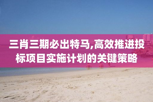 三肖三期必出特马,高效推进投标项目实施计划的关键策略