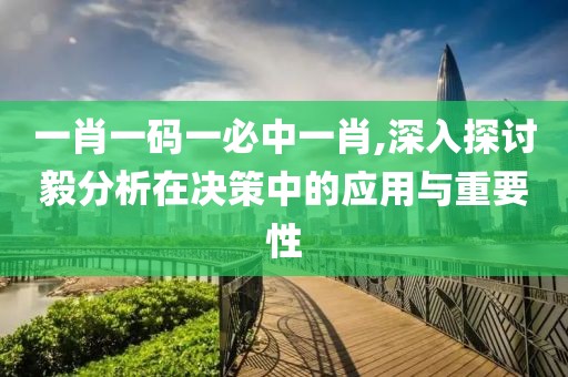一肖一码一必中一肖,深入探讨毅分析在决策中的应用与重要性