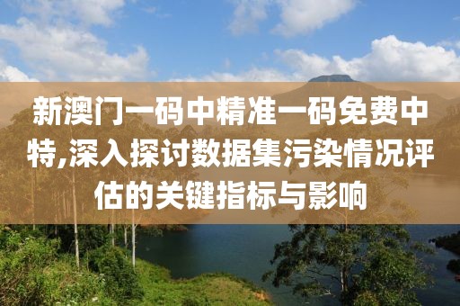 新澳门一码中精准一码免费中特,深入探讨数据集污染情况评估的关键指标与影响