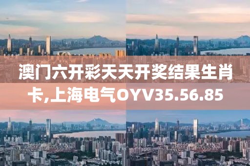 澳门六开彩天天开奖结果生肖卡,上海电气OYV35.56.85