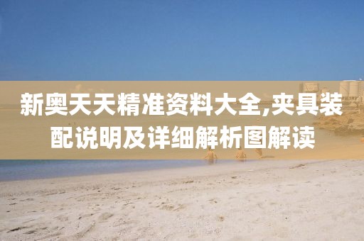 新奥天天精准资料大全,夹具装配说明及详细解析图解读