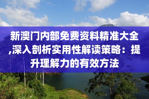 新澳门内部免费资料精准大全,深入剖析实用性解读策略：提升理解力的有效方法