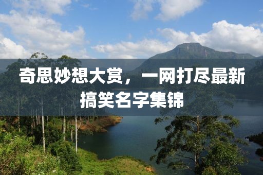 奇思妙想大赏，一网打尽最新搞笑名字集锦
