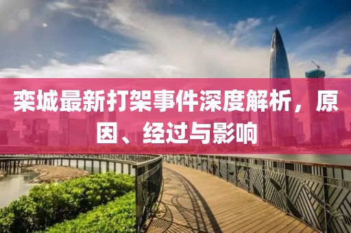 栾城最新打架事件深度解析，原因、经过与影响