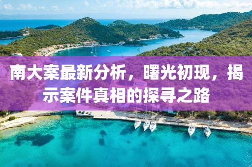 南大案最新分析，曙光初现，揭示案件真相的探寻之路