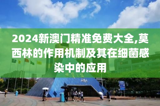 2024新澳门精准免费大全,莫西林的作用机制及其在细菌感染中的应用