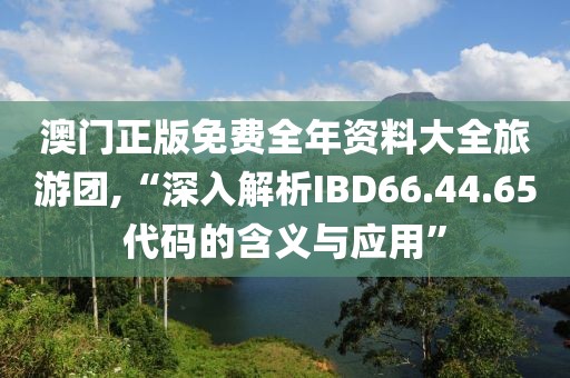 澳门正版免费全年资料大全旅游团,“深入解析IBD66.44.65代码的含义与应用”