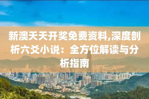 新澳天天开奖免费资料,深度剖析六爻小说：全方位解读与分析指南