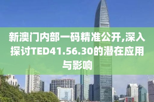 新澳门内部一码精准公开,深入探讨TED41.56.30的潜在应用与影响