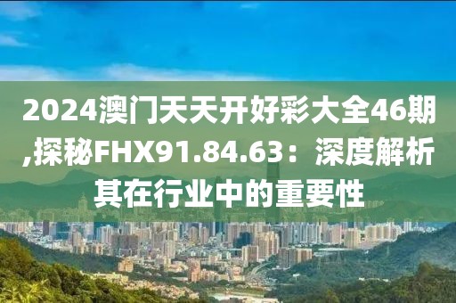 2024澳门天天开好彩大全46期,探秘FHX91.84.63：深度解析其在行业中的重要性