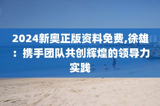 2024新奥正版资料免费,徐雄：携手团队共创辉煌的领导力实践
