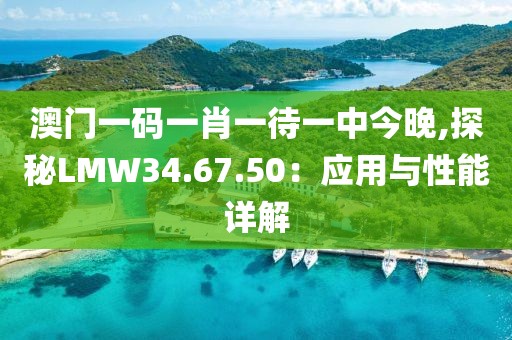 澳门一码一肖一待一中今晚,探秘LMW34.67.50：应用与性能详解