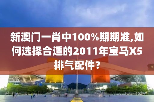 新澳门一肖中100%期期准,如何选择合适的2011年宝马X5排气配件？