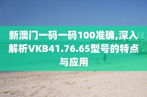 新澳门一码一码100准确,深入解析VKB41.76.65型号的特点与应用