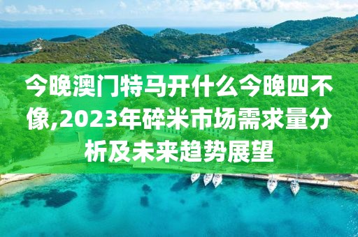今晚澳门特马开什么今晚四不像,2023年碎米市场需求量分析及未来趋势展望