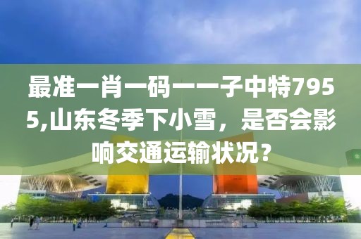 最准一肖一码一一子中特7955,山东冬季下小雪，是否会影响交通运输状况？