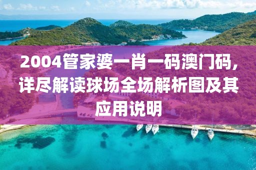 2004管家婆一肖一码澳门码,详尽解读球场全场解析图及其应用说明