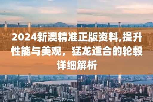 2024新澳精准正版资料,提升性能与美观，猛龙适合的轮毂详细解析