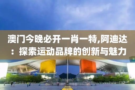 澳门今晚必开一肖一特,阿迪达：探索运动品牌的创新与魅力