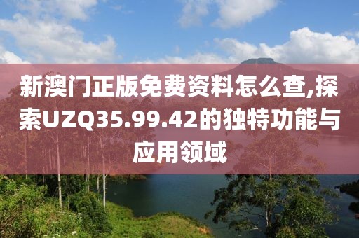 新澳门正版免费资料怎么查,探索UZQ35.99.42的独特功能与应用领域