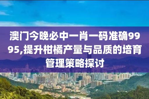 澳门今晚必中一肖一码准确9995,提升柑橘产量与品质的培育管理策略探讨
