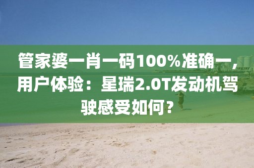 管家婆一肖一码100%准确一,用户体验：星瑞2.0T发动机驾驶感受如何？