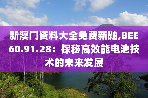 新澳门资料大全免费新鼬,BEE60.91.28：探秘高效能电池技术的未来发展