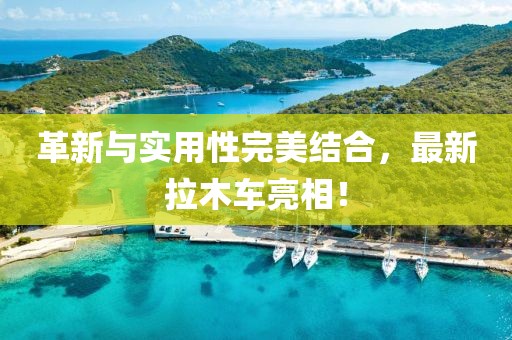 革新与实用性完美结合，最新拉木车亮相！