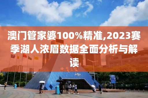 澳门管家婆100%精准,2023赛季湖人浓眉数据全面分析与解读