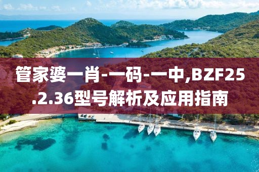 管家婆一肖-一码-一中,BZF25.2.36型号解析及应用指南
