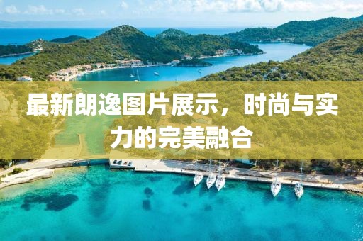 最新朗逸图片展示，时尚与实力的完美融合
