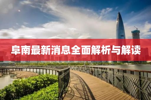 阜南最新消息全面解析与解读
